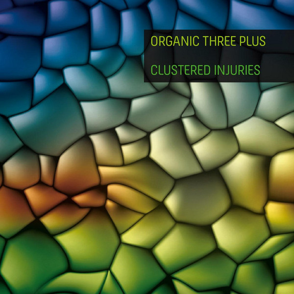 Clustered Injuries album cover